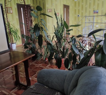 Приватний будинок для літніх людей у Харкові